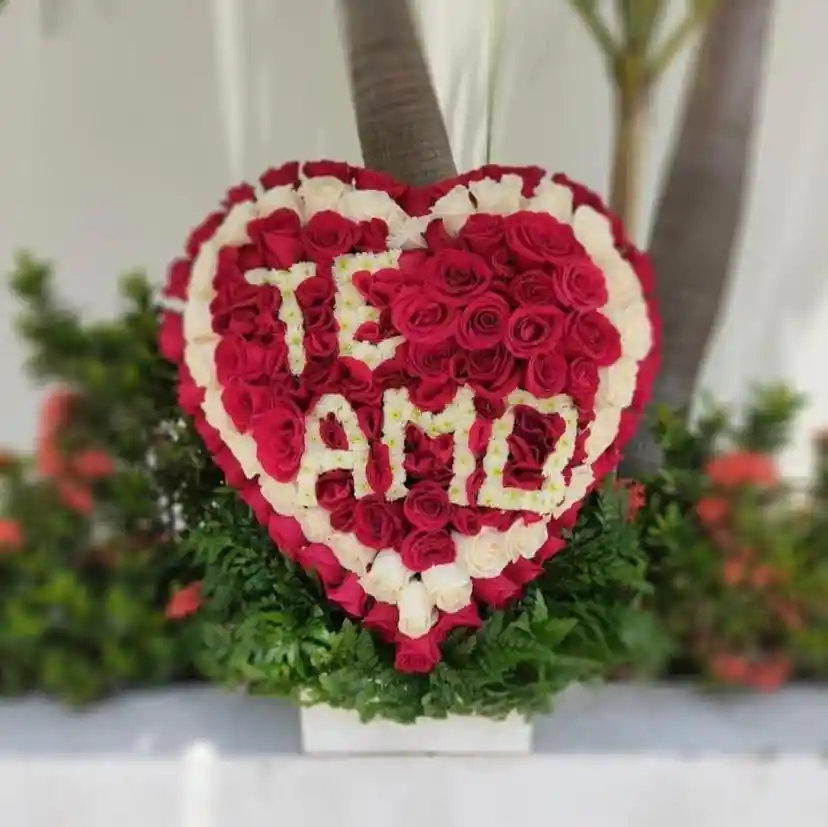 Mi Corazón Es Tu Yo
