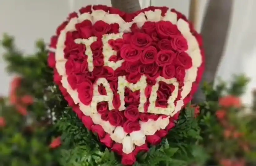 Mi Corazón Es Tu Yo