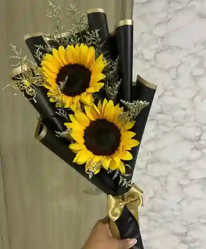 Girasol