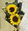 Girasol