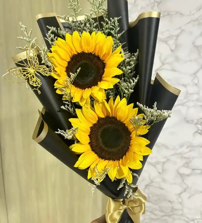 Girasol