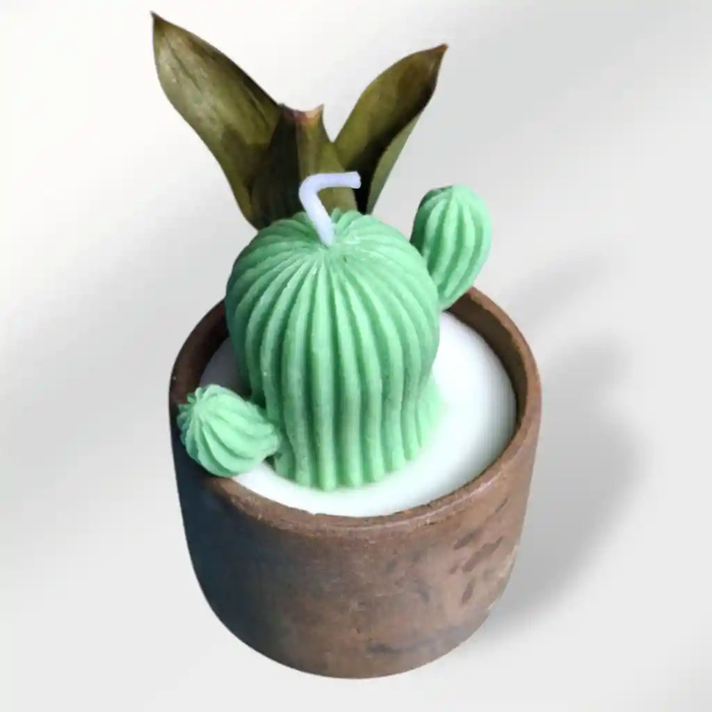Vela Aromática Cactus