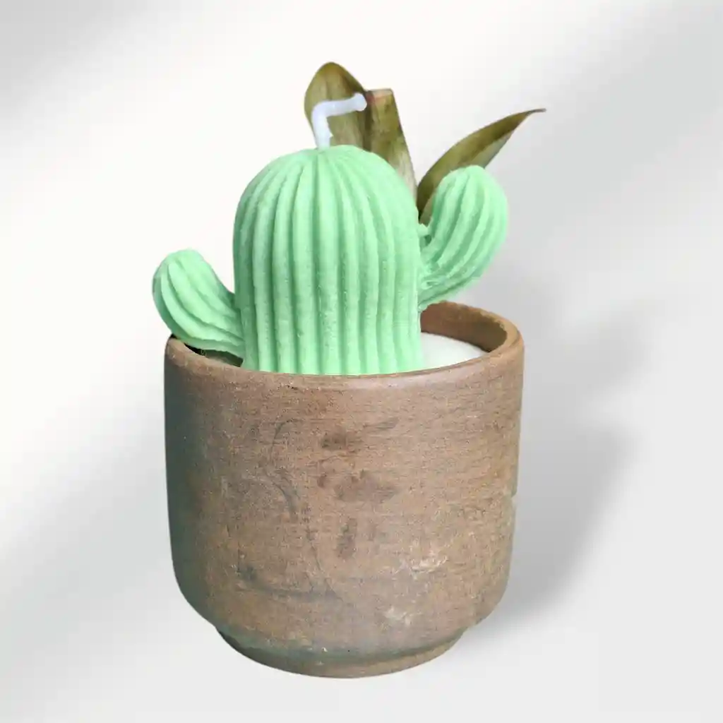 Vela Aromática Cactus