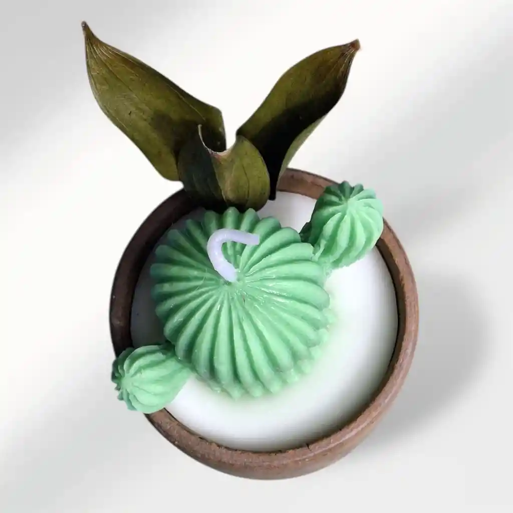 Vela Aromática Cactus