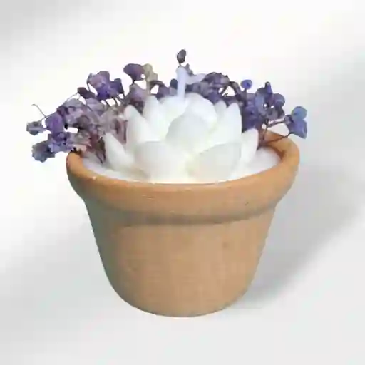 Vela Aromática Rosa Blanca
