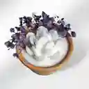 Vela Aromática Rosa Blanca