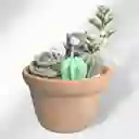 Vela Aromática Encanto Verde