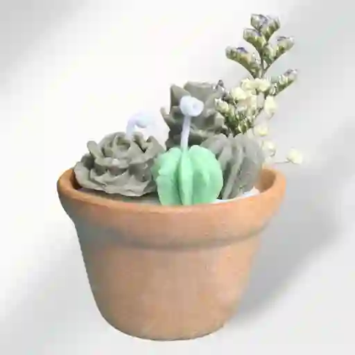 Vela Aromática Encanto Verde
