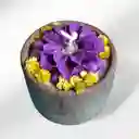 Vela Aromática Rosa Morado