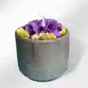 Vela Aromática Rosa Morado