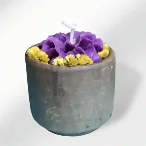 Vela Aromática Rosa Morado