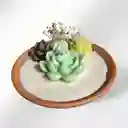 Vela Aromática Jardín De Luz Eterna
