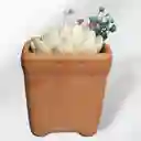 Vela Aromática Esencia De Primavera
