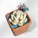 Vela Aromática Esencia De Primavera