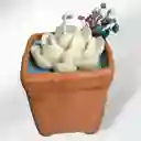 Vela Aromática Esencia De Primavera
