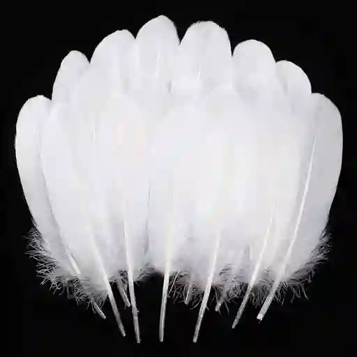 Plumas Sintéticas Decorativas Color Blanco Paquete X20 Unidades