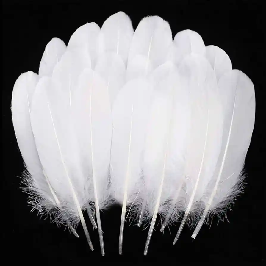 Plumas Sintéticas Decorativas Color Blanco Paquete X20 Unidades