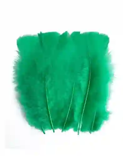 Plumas Sintéticas Decorativas Color Verde Paquete X20 Unidades