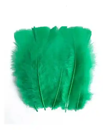 Plumas Sintéticas Decorativas Color Verde Paquete X20 Unidades