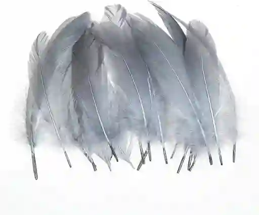 Plumas Sintéticas Decorativas Color Gris Paquete X20 Unidades