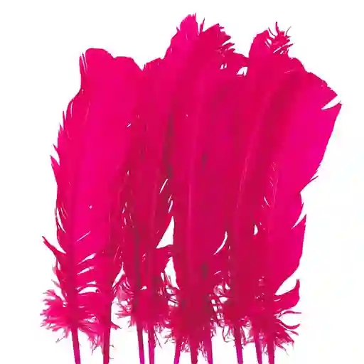 Plumas Sintéticas Decorativas Color Fucsia Paquete X20 Unidades