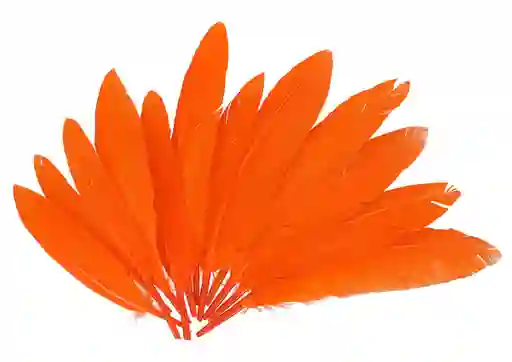 Plumas Sintéticas Decorativas Color Naranja Paquete X20 Unidades