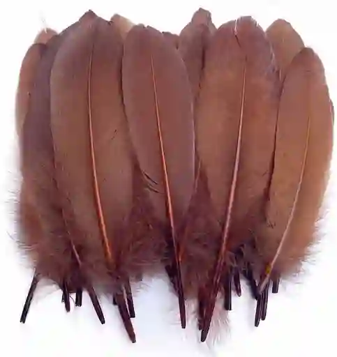 Plumas Sintéticas Decorativas Color Café Paquete X20 Unidades