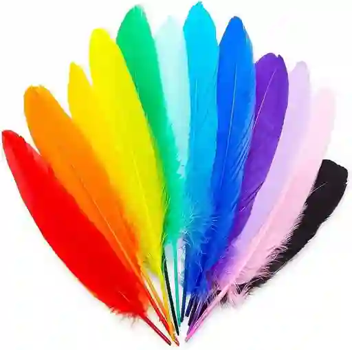 Plumas Sintéticas Decorativas Colores Surtidos Paquete X20 Unidades