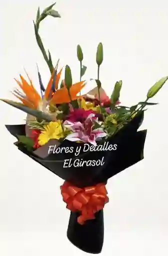 Encanto Tropical
