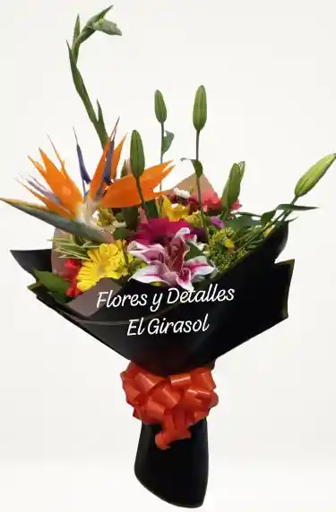 Encanto Tropical