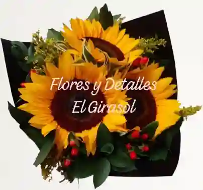 Rayos De Sol Mini