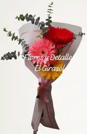 Color De Gerberas