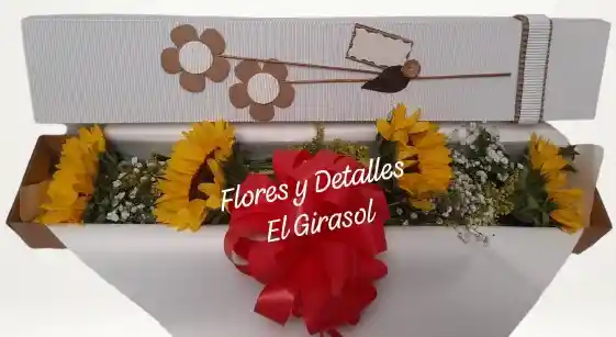 Caja Brillante