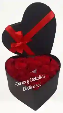 Corazón Apasionado