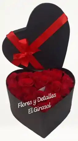 Corazón Apasionado