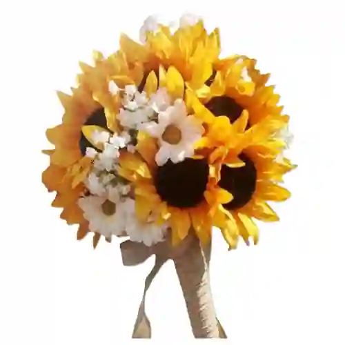 Girasoles Y Margaritas