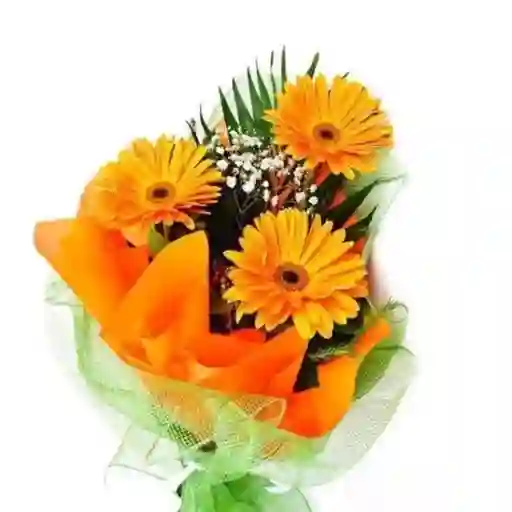 Gerberas En Bouquet
