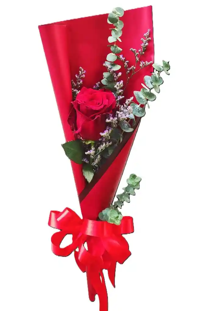 Rosa Solitario