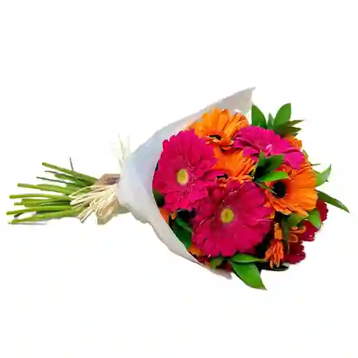 Gerberas En Bouquet Para Amar