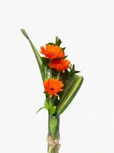 Gerberas En Jarron