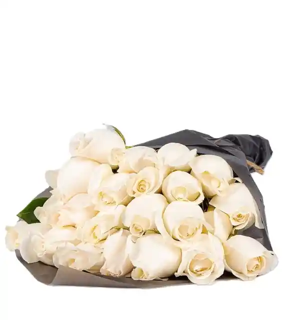 Rosas Blancas X24