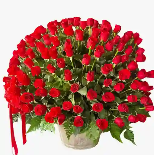 Rosas Rojas 400