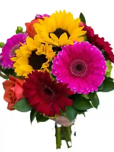 Geberas Y Girasoles