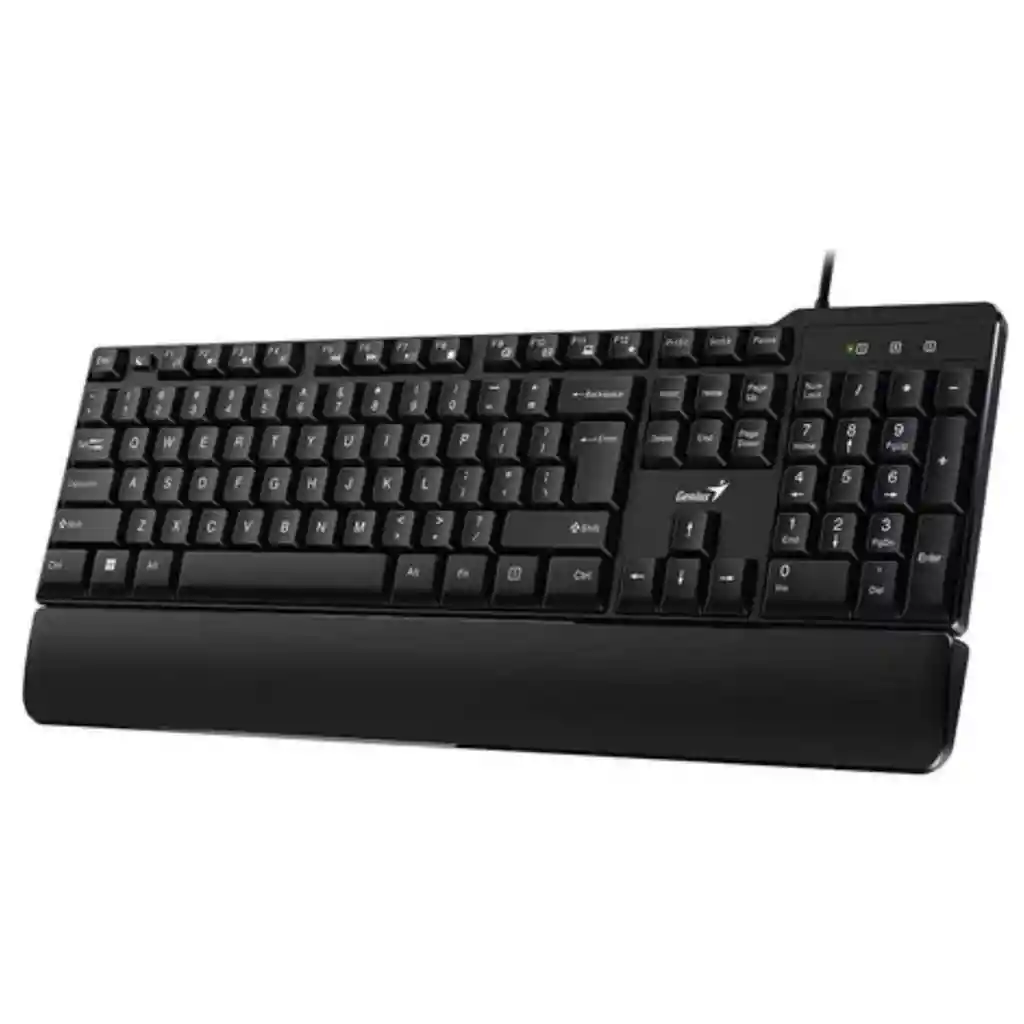 Teclado Alámbrico Genius Kb-100xp Usb - Negro