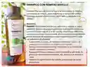 Shampoo Con Romero Anyeluz