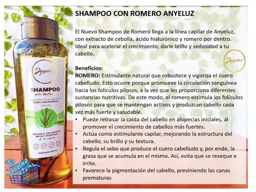 Shampoo Con Romero Anyeluz