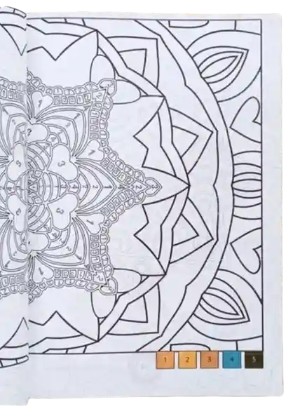 Libro Mandala Con Guia De Color 96 Paginas
