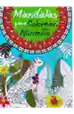 Libro Mandala Con Guia De Color 96 Paginas