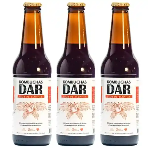Kombuchas Dar – Presentación Flor De Jamaica