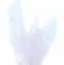 Papel Celofan Transparente X10 Unidades